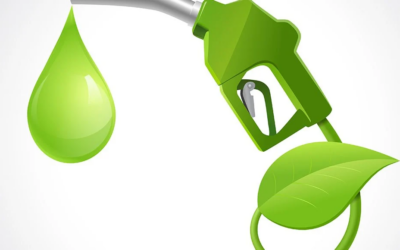 Índia praticamente já cumpriu com a sua meta de mistura de etanol na gasolina