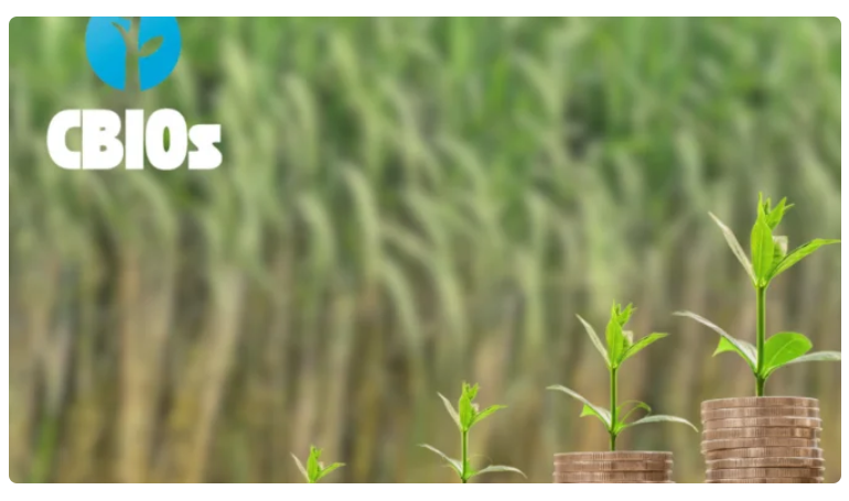 Mercado de CBios enfraquece com excesso de oferta, mas preços podem ganhar sustentação