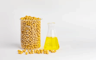 Sem novos projetos, país pode ter déficit na oferta de biodiesel