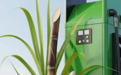 Etanol de milho cresce e já representa 20% da produção nacional em 202