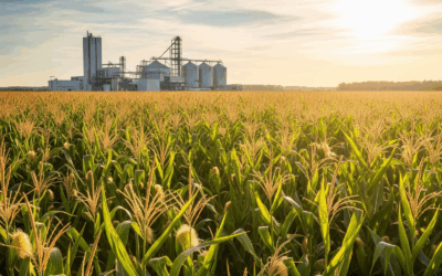 [Opinião] Etanol de milho no Brasil: o desafio da mão de obra capacitada e suas oportunidades