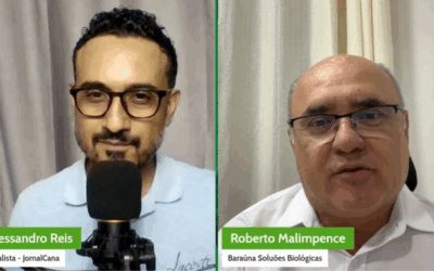 Qual a relação entre vinhaça e CBio?