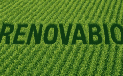 STF garante constitucionalidade do RenovaBio, mas não barra novas ações