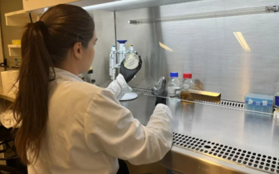 UFSCar descobre nova cepa de levedura focada na produção de etanol