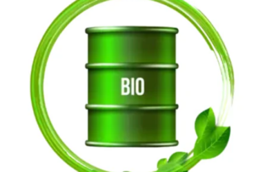 Bagaço será matéria-prima de fábrica de etanol de última geração na Índia