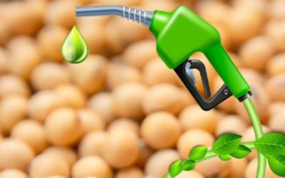 Etanol de soja em escala industrial coloca Brasil na liderança dos biocombustíveis avançados