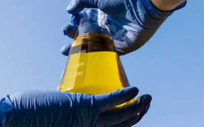 Consumo de biodiesel na Alemanha aumenta 12% e deve crescer mais