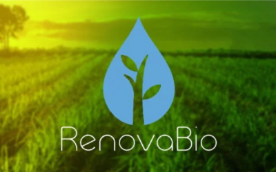 ANP propõe mudanças na RenovaCalc para cálculo da intensidade de carbono dos biocombustíveis
